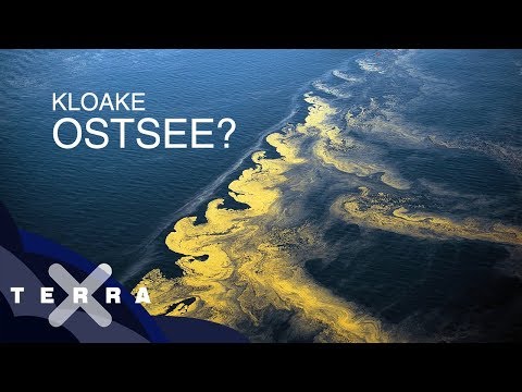 Ist die Ostsee noch zu retten? | Dirk Steffens