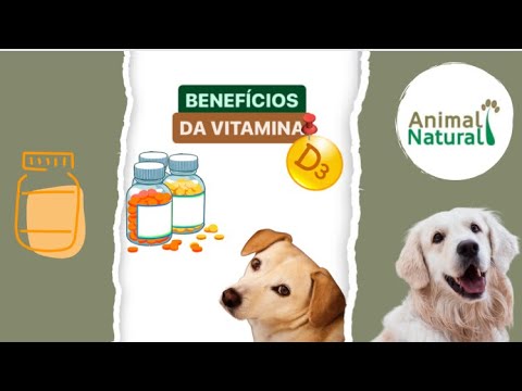 Vitamina D3 Suplemento Vitamínico Cães e Gatos Botupharma - 20ml