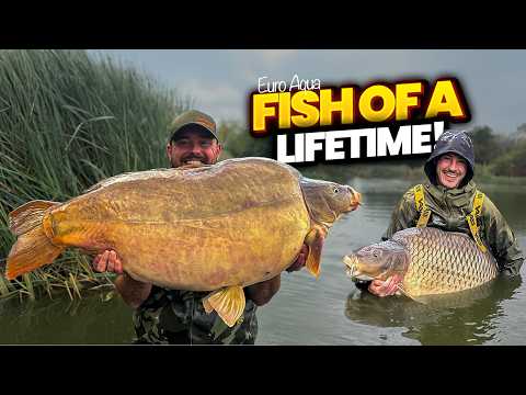 We CRACKED Euro Aqua… 17 Fish Over 50lb + TWO 80s (INSANE)
