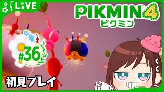 回収するよ、のべぼう【ピクミン4初見プレイ】 #おはようvtuber  #36