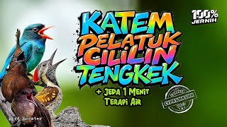 Download lagu TEMBAKAN KASAR TAJAM!! MASTERAN BURUNG SATU JALUR JEDA TERAPI AIR 100% CEPAT MASUK!! mp3 Download lagu TEMBAKAN KASAR TAJAM!! MASTERAN BURUNG SATU JALUR JEDA TERAPI AIR 100% CEPAT MASUK!! mp3