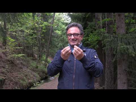 Commento al vangelo del 27 ottobre 2019