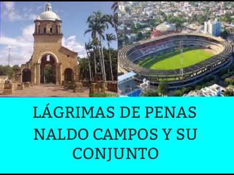 LÁGRIMAS DE PENAS --. NALDO CAMPOS Y SU CONJUNTO