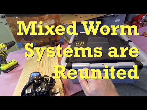 Family reunion in VermiBag Tote for the mixed worm population - vermicompost