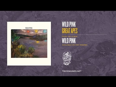 Video thumbnail for Great Apes
