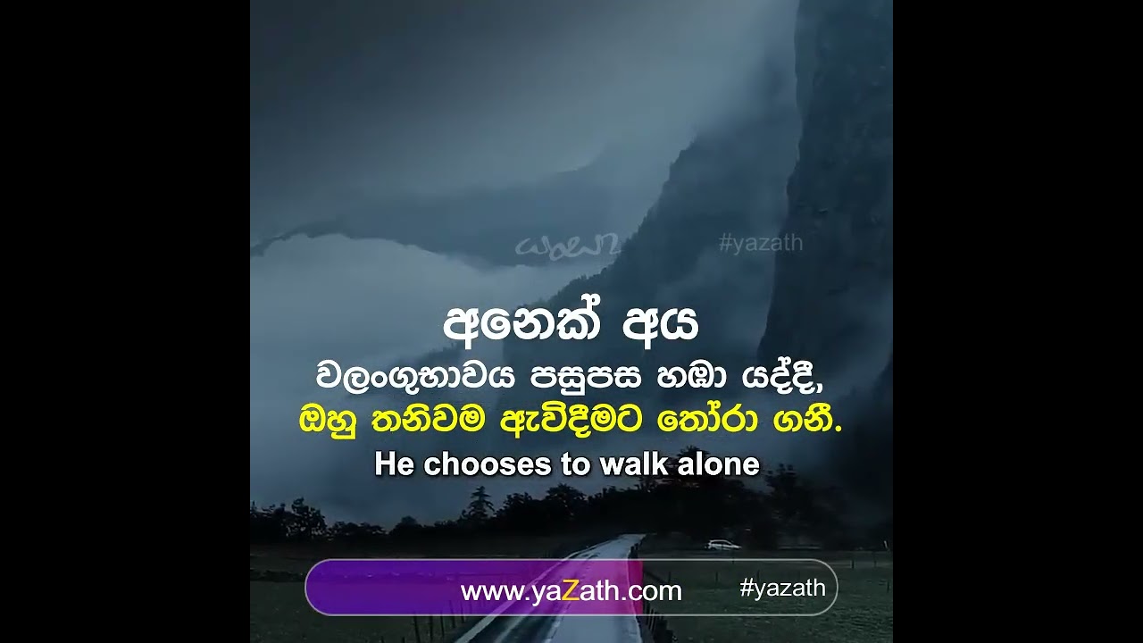 සිල්වෙස්ටර් ස්ටැලෝන්ගේ හොඳම උපුටා දැක්වීම!✊