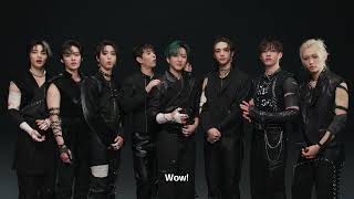 Download lagu Stray Kids - NIGHT/Falling Up (English) mp3