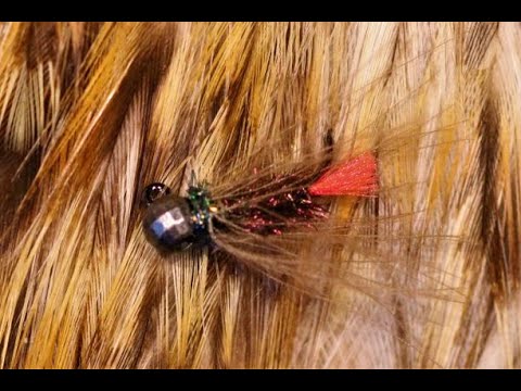 Tying a CDC Red Tag with Martyn White (nymph)