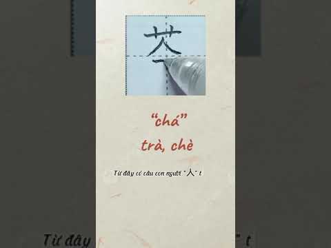 Write hanzi 茶（chá/tea) #short  #shorts  #usa #hanzi #茶 #china  #learnonyoutube #write #xuhuong