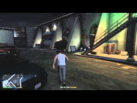 Professionalism: The GTA:V Story.