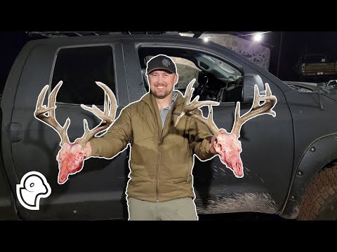 Double Droptine Mexico Coues Deer - Caza F'N Sonora