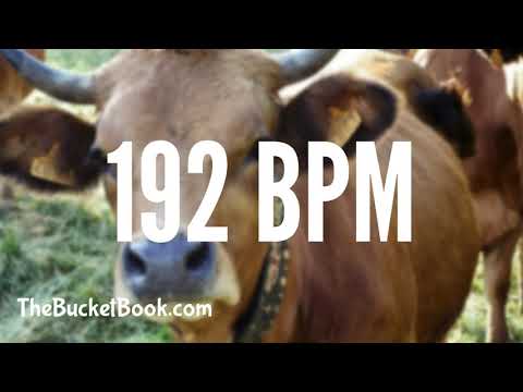 14 Minutes of Cowbell at 192 BPM BECAUSE WHY NOT!?!