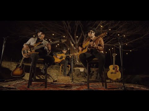 Vena De Rey - Le Hace Falta un Beso (Live) | Picando Piedra EP