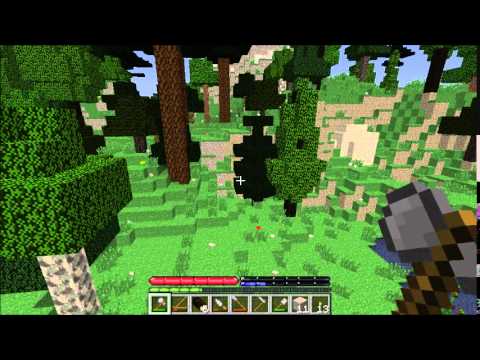 TerraFirmaCraft Season 1 Episode 3 - A Leap of Faith