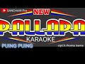Puing Puing Karaoke New Pallapa