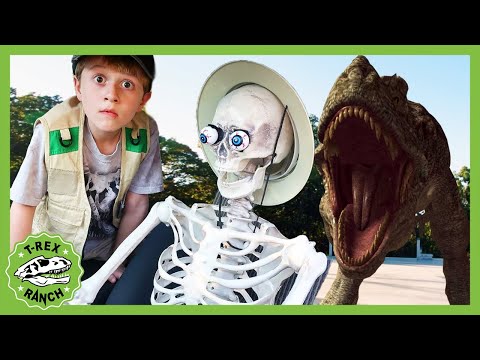 Giant T-Rex Dinosaur vs Funny Skeleton! T-Rex Ranch Dinosaur Videos