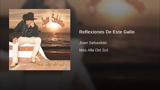 Joan sebastian - Reflexiones de este gallo