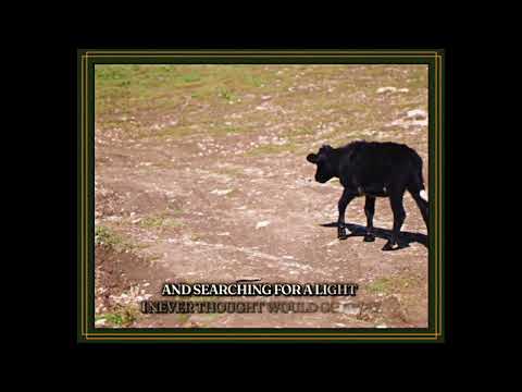 Turnpike Troubadours - Searching For A Light (Official Lyric Video)