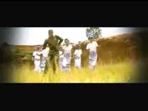 Hody aminao   Barry's