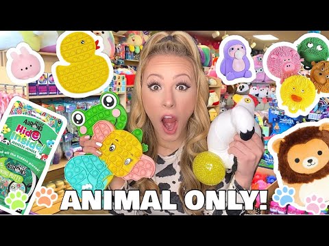 BUYING ANIMAL THEMED FIDGETS ONLY AT LEARNING EXPRESS 🐶🐱🐭🐹🐿🦊🐻‍❄️🐼🐻🐷🐮🐴