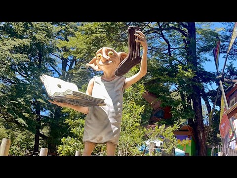 Bosque Encantado Pucón 1 #bosqueencantado #enchantedforest #pucón #araucania #chile 