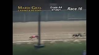 CET DIRTY DILLY NEW TRACK RECORD HOLDER AT TRISTATE