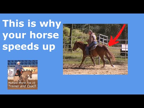 Slowing down a horse that speeds up without asking