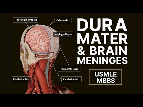 Dura Mater & Brain Meninges | Anatomy for USMLE/NEET PG | Folds, Sinuses, and Blood Supply Explained