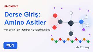 Biyokimya #01 | Derse Giriş: Amino Asitler