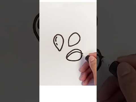 2025 Seed Drawing