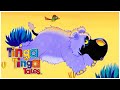 How Hippo Lost Her Hair ‍ ️ 1 Hour Of African Animal Folk Tales Tinga Tinga Tales Official