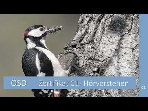 Hörverstehen Niveau C1 ÖSD Modellsatz Teil 2