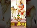 Navaratri First Of Mother ️maa Shailputri Navratrispecial Shortvideo Status Shorts Whatsappsta