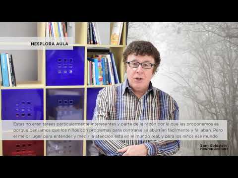 Sam Goldstein y Nesplora Aula - Nesplora Technology & Behavior