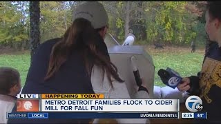 Metro Detroit families flock to apple orchards for fall fun