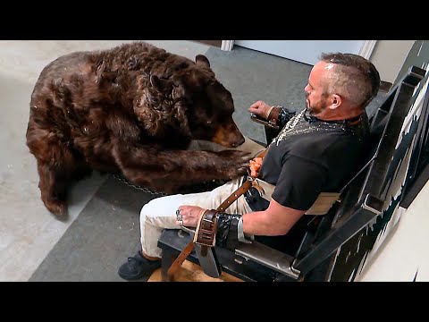 Er ist mit einem wilden Bären gefangen (und voller Honig!) | Jackass Forever | German Deutsch Clip