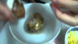 how to eat balut in northern Vietnam
