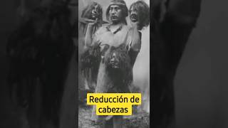 Te cortaban la cabeza y la usaban de adorno #curiosidades #mundo #nosabias #tribus