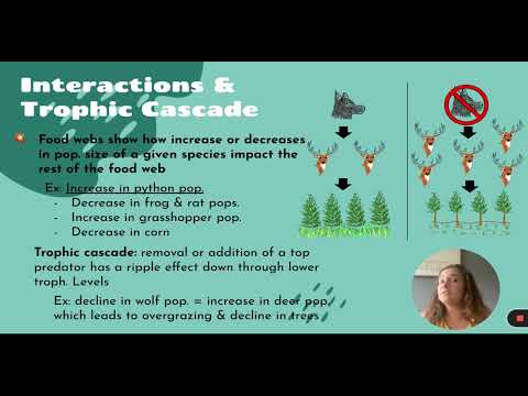 Intro to Ecosystem Part 2 (1.9-1.11)