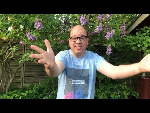 CSD Karlsruhe 2022 - #teachout