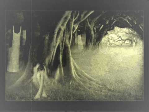 Shibby - Amalgam de sentimente