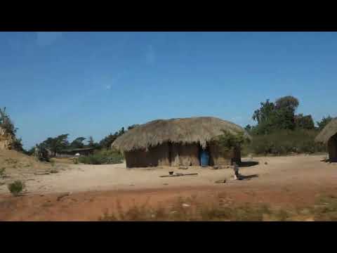 Manguiers et Huttes, Route Likasi, Mwadingusha, Katanga, Congo, RDC, 2022, by HabariSalam