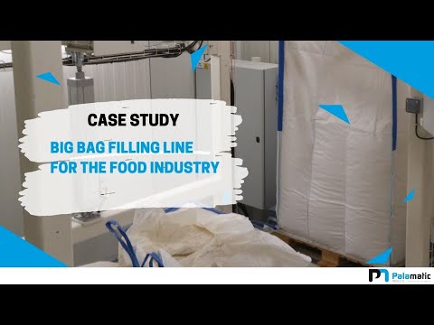 Big bag filling machine - FlowMatic® 04 - Automatic unit | Palamatic Process Inc.