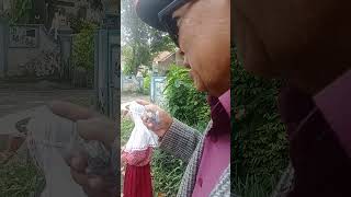 Download lagu LOO JUMPA NISAA' KABIIROH ASHLI DESA SINI TAH PANGLING MURID KU. mp3 Download lagu LOO JUMPA NISAA' KABIIROH ASHLI DESA SINI TAH PANGLING MURID KU. mp3