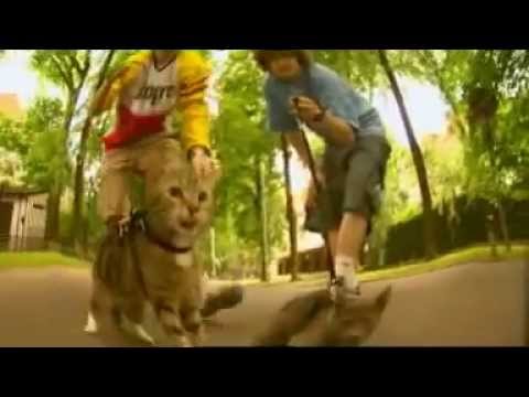 210 - Hit (Official Music Video) ft. Numer Raz, Lady Mocca, Mag