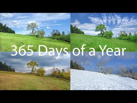 365 Days Time Lapse Nature | A Photo a Day Calendar | One Year Time Lapse Seasons 20 Minutes