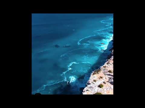 Australian Coastal Safaris