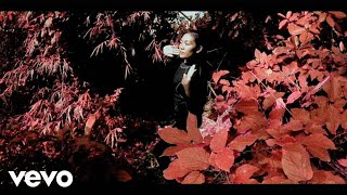 Boy &amp; Bear - Harlequin Dream (Official Video)