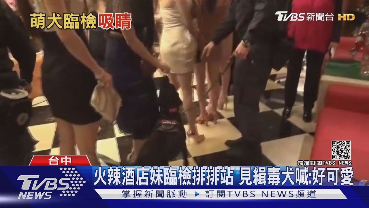 火辣酒店妹臨檢排排站　見緝毒犬喊：好可愛