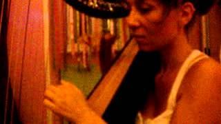 SIGUR ROS -SALKA- electric harp - Micol arpa